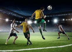 布登感慨,詹金斯被解,与灰熊成长,亚博体育app下载,亚博体育官网,亚博体育官方网站,亚博体育平台