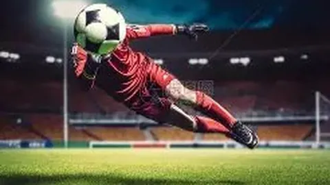 网球学院：成长印记与培育之路